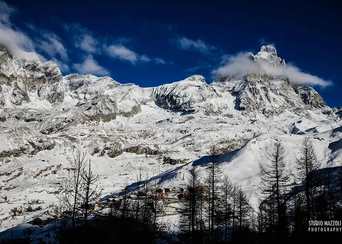 Gasthof D'hotel A Rosy